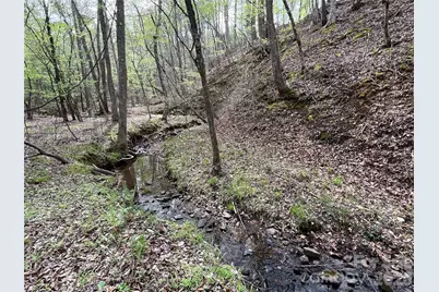 391 Clearwater Creek Parkway, Rutherfordton, NC 28139 - Photo 45