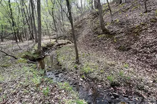 391 Clearwater Creek Pkwy, Rutherfordton, NC 28139 - Photo 45