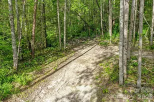 168 Robert Church Rd, Ellenboro, NC 28040 - Photo 27