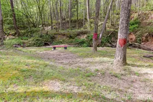 168 Robert Church Rd, Ellenboro, NC 28040 - Photo 19