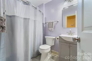 328 Old Greenville Rd, Zirconia, NC 28790 - Photo 13