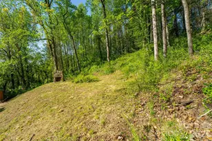 328 Old Greenville Rd, Zirconia, NC 28790 - Photo 29
