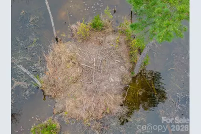 0 Lobelia Road, Vass, NC 28394 - Photo 5