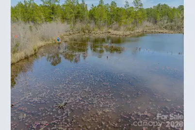 0 Lobelia Road, Vass, NC 28394 - Photo 33