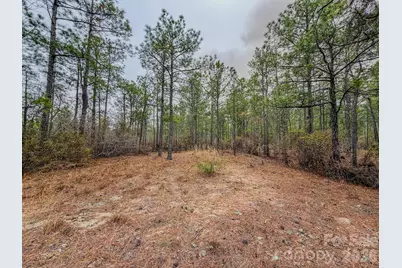 0 Lobelia Road, Vass, NC 28394 - Photo 25