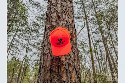 0 Lobelia Road, Vass, NC 28394 - Photo 17