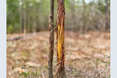 0 Lobelia Road, Vass, NC 28394 - Photo 27