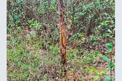 0 Lobelia Road, Vass, NC 28394 - Photo 37