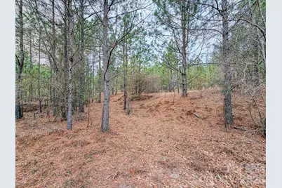 0 Lobelia Road, Vass, NC 28394 - Photo 15
