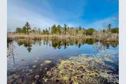 0 Lobelia Road, Vass, NC 28394 - Photo 9