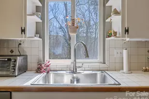 7 Rippy Hl Ln, Tryon, NC 28782 - Photo 29