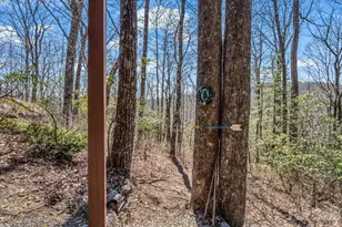 218 Frazier Rd, Brevard, NC 28712 - Photo 41