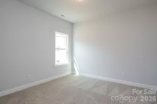 1031 Penarth Ct, Catawba, NC 28609 - Photo 19