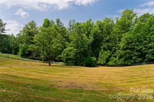 2531 Little River Rd, Hendersonville, NC 28739 - Photo 45