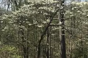 2276 Nature Ln, Lenoir, NC 28645 - Photo 7