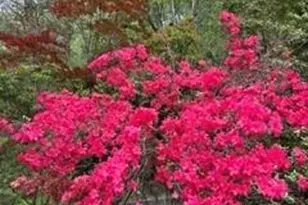 2276 Nature Ln, Lenoir, NC 28645 - Photo 3