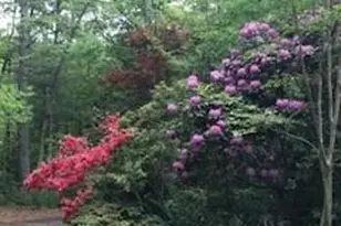 2276 Nature Ln, Lenoir, NC 28645 - Photo 5