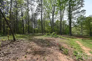 202 Coker Ct, York, SC 29745 - Photo 19