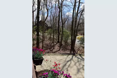 417 Soquili Drive, Brevard, NC 28712 - Photo 3