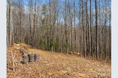 220 Simply Grateful Drive, Hendersonville, NC 28792 - Photo 7