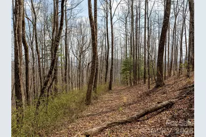 220 Simply Grateful Drive, Hendersonville, NC 28792 - Photo 9