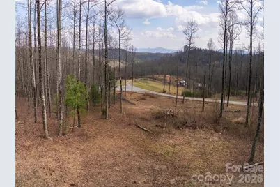 220 Simply Grateful Drive, Hendersonville, NC 28792 - Photo 3