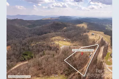 220 Simply Grateful Drive, Hendersonville, NC 28792 - Photo 15