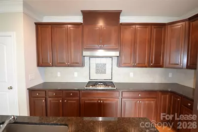 21330 Old Canal Street, Cornelius, NC 28031 - Photo 7