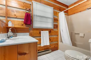 178 Table Rock Dr, Saluda, NC 28773 - Photo 23