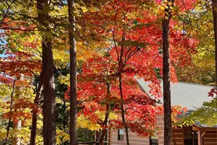 178 Table Rock Dr, Saluda, NC 28773 - Photo 5