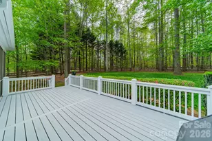 215 Freshwater Ln, Mooresville, NC 28117 - Photo 39