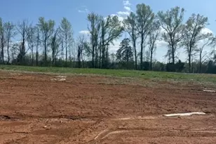 1275 Gardenia Dr, Mount Ulla, NC 28125 - Photo 19