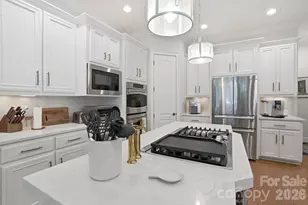1401 Tara Plantation Blvd, Wesley Chapel, NC 28110 - Photo 17
