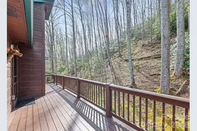 41 Trapper Lane, Waynesville, NC 28785 - Photo 5