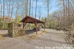 41 Trapper Ln, Waynesville, NC 28785 - Photo 39