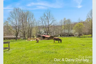 41 Trapper Lane, Waynesville, NC 28785 - Photo 35