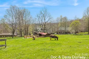 41 Trapper Ln, Waynesville, NC 28785 - Photo 35