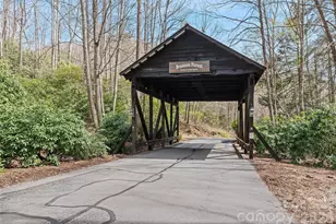 41 Trapper Ln, Waynesville, NC 28785 - Photo 39