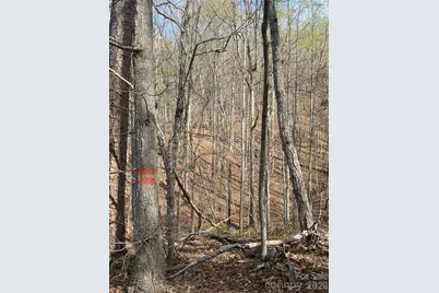 00 Cane Creek Mountain Road #2, Bostic, NC 28018 - Photo 7