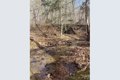 00 Cane Creek Mountain Road #2, Bostic, NC 28018 - Photo 9