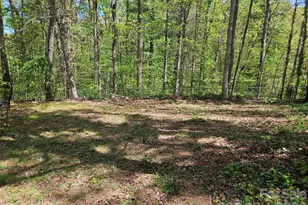 3459 Ridgewood Dr, Morganton, NC 28655 - Photo 23