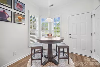 20238 Dovekie Lane, Indian Land, SC 29707 - Photo 9