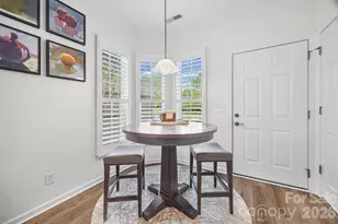 20238 Dovekie Ln, Indian Land, SC 29707 - Photo 9