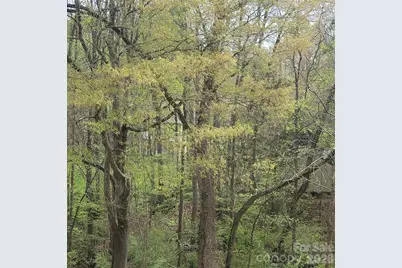 230 Walnut Street, Belmont, NC 28012 - Photo 39