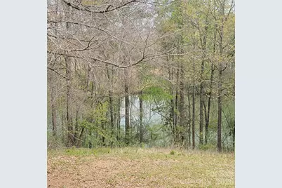 230 Walnut Street, Belmont, NC 28012 - Photo 3