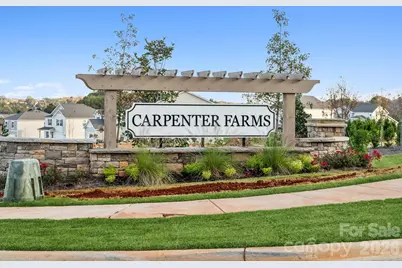 1053 Hallman Branch Lane, Lincolnton, NC 28092 - Photo 13