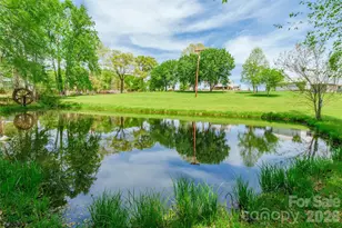 161 Springdale Ln, Cowpens, SC 29330 - Photo 41