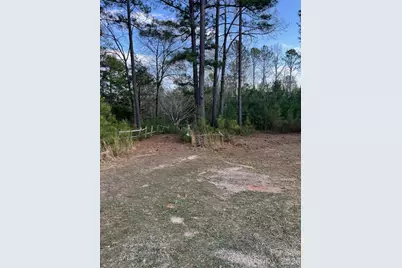 1264 Worthys Ferry Road, Chester, SC 29706 - Photo 3