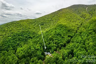 58 Great Aspen Way, Black Mountain, NC 28711 - Photo 3