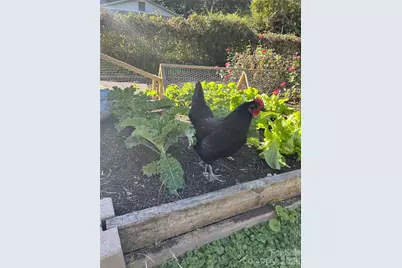 2200 Simmons Street, Gastonia, NC 28052 - Photo 33